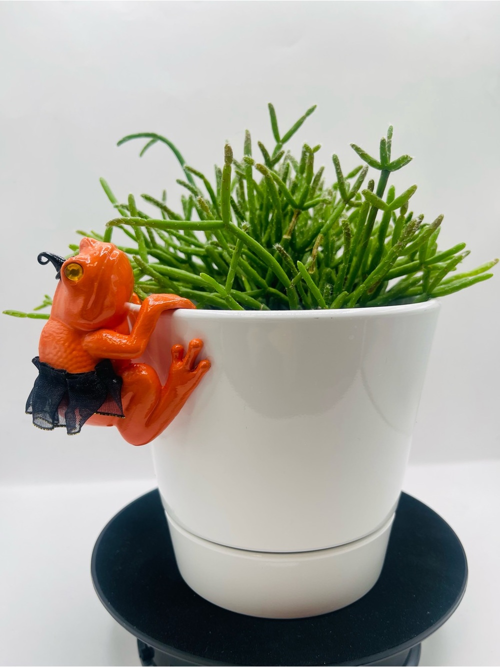 Witchy Toadette - Large Halloween Hanging Plant Frog - Pot Hugger Decor